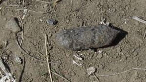 sk-owl-pellet