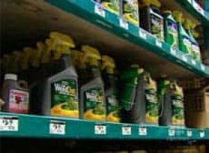 cgy-pesticides