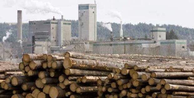 west-fraser-timber-cp-65935