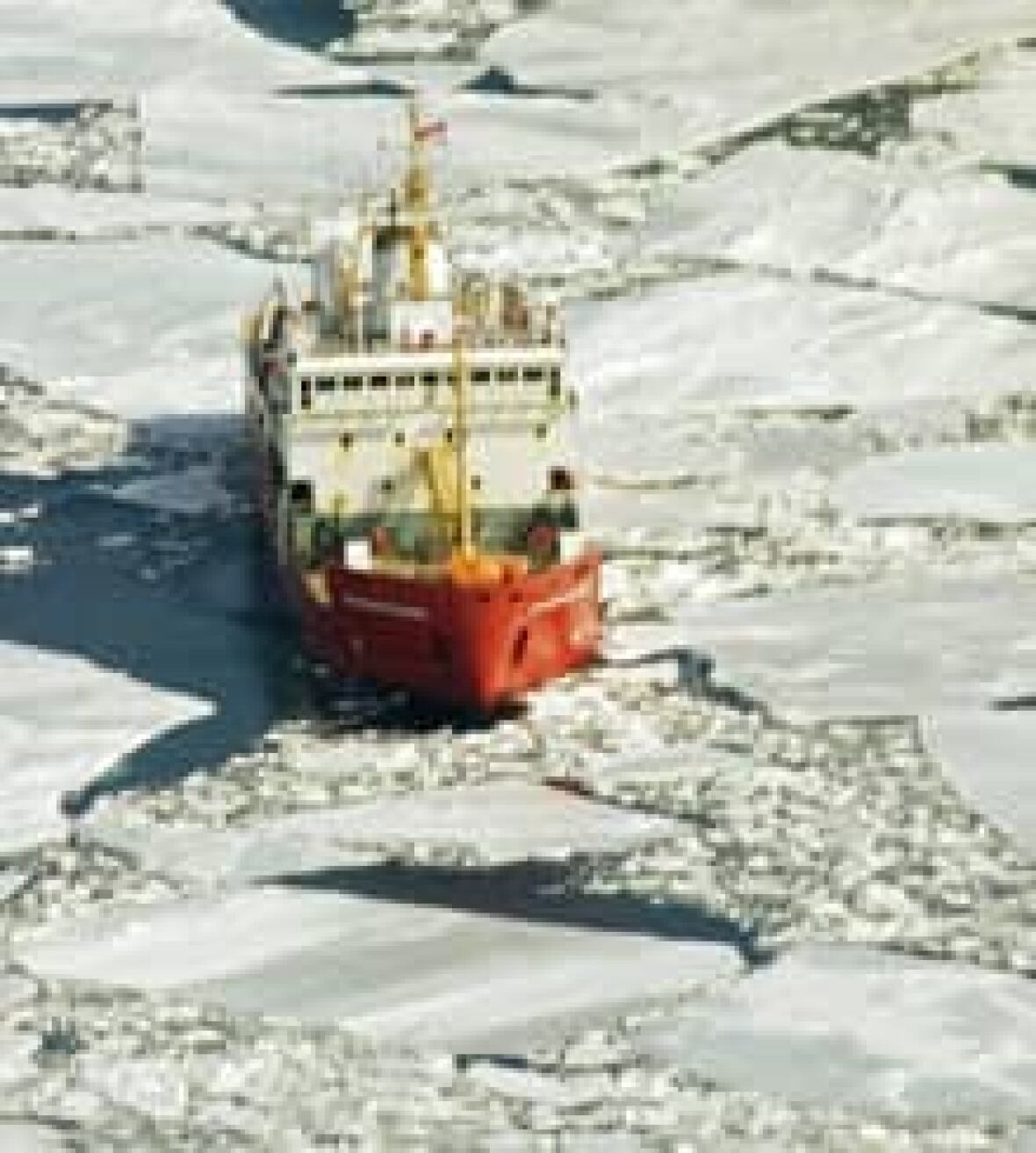 Divers recover 3 bodies after sealing boat capsizes CBC News