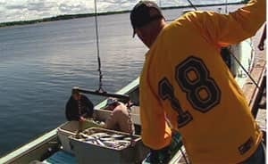 nb-marshall-fisheries