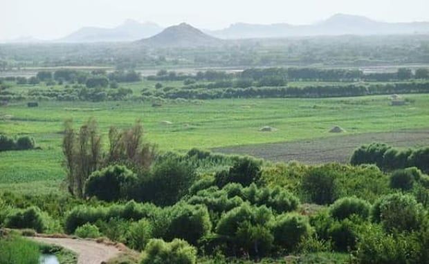 Arghandab-afghan-cbc