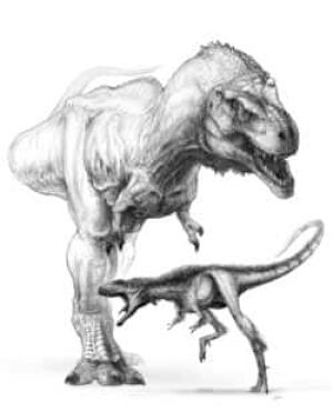 raptorex-t-rex