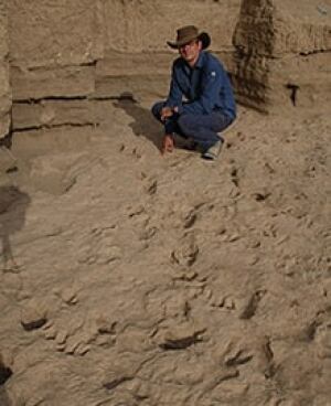 tech-090227-matthew-bennett-footprints-cropped