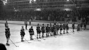 Tigers-on-blueline-306