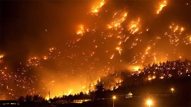 cp-wildfire-460