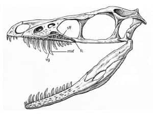 tech-dinosaur-venom-diag