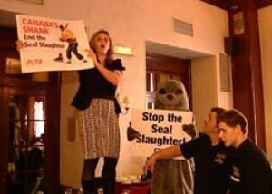 pe-peta-protest