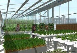 roof-top-ranch-forbes