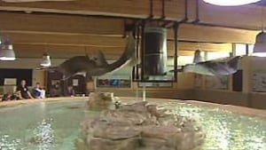 tp-cgy-stingray-tank