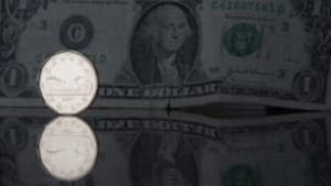 tp-loonie-cp-3618652-306