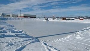 campbellton-rink