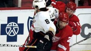 redwings306-cp-jpg