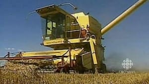 tp-harvest-sask080819