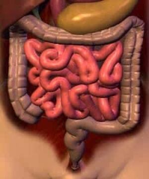 healthy-bowels