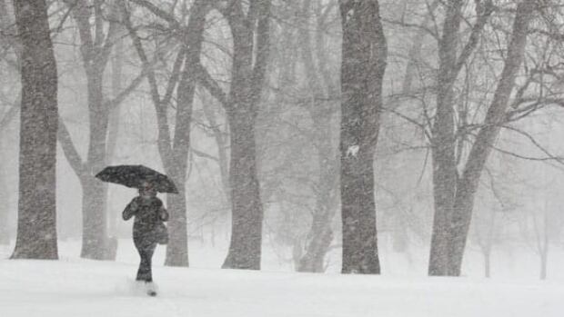 mtl-snowstorm-cp-1209