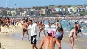 tp-australian-beach2