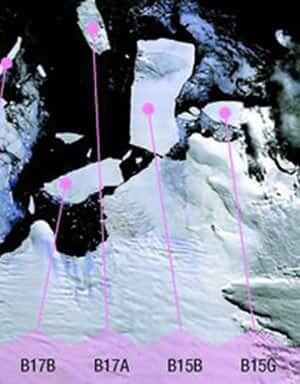 iceberg-300-cp-7789681