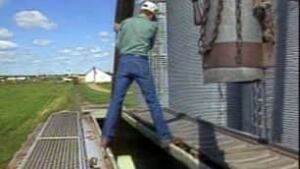 sk-canola-bins