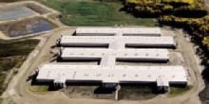 sk-ituna-pig-barns-090128