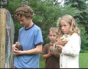 pe-children-chickens