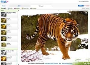 flickr-tiger-cp-3993757