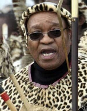 zuma-zulu-306-cp-6084340