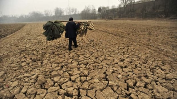 drought-china-cp-w-6244601