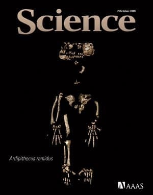 science-cover-ardi-fossil-s