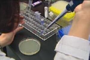 cgy-bse-lab