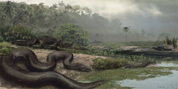 tech-090104-titanboa-banner