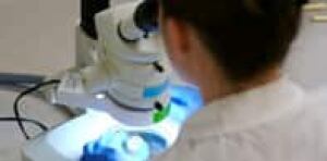 research-istock-197