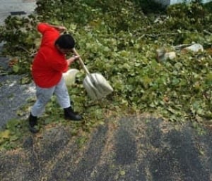 new-orleans-clean-cp-543382