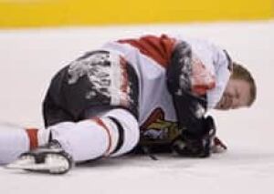 220-alfredsson