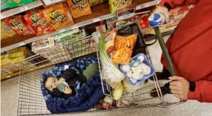 f-grocery-shopping