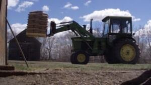 tp-farm-cp-3316898-306