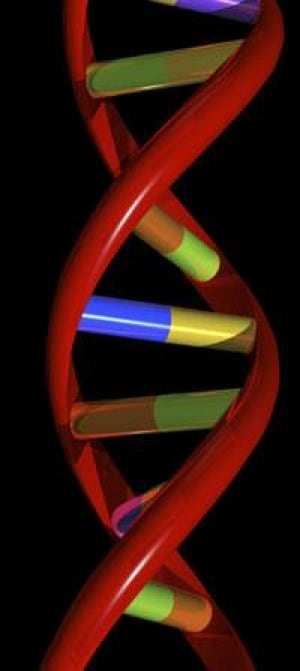 dna-strand