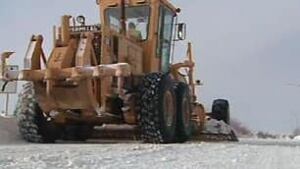 tp-cgy-grader