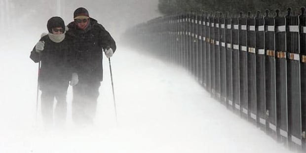 f-wintersurvival-cp-584