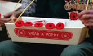 cgy-poppies