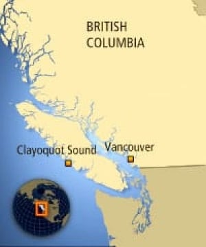 bc-080801-clayoquot2
