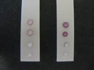 SENTINEL-Bioactive-Paper-Di