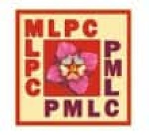 mlp