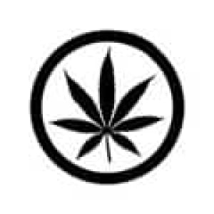 mp