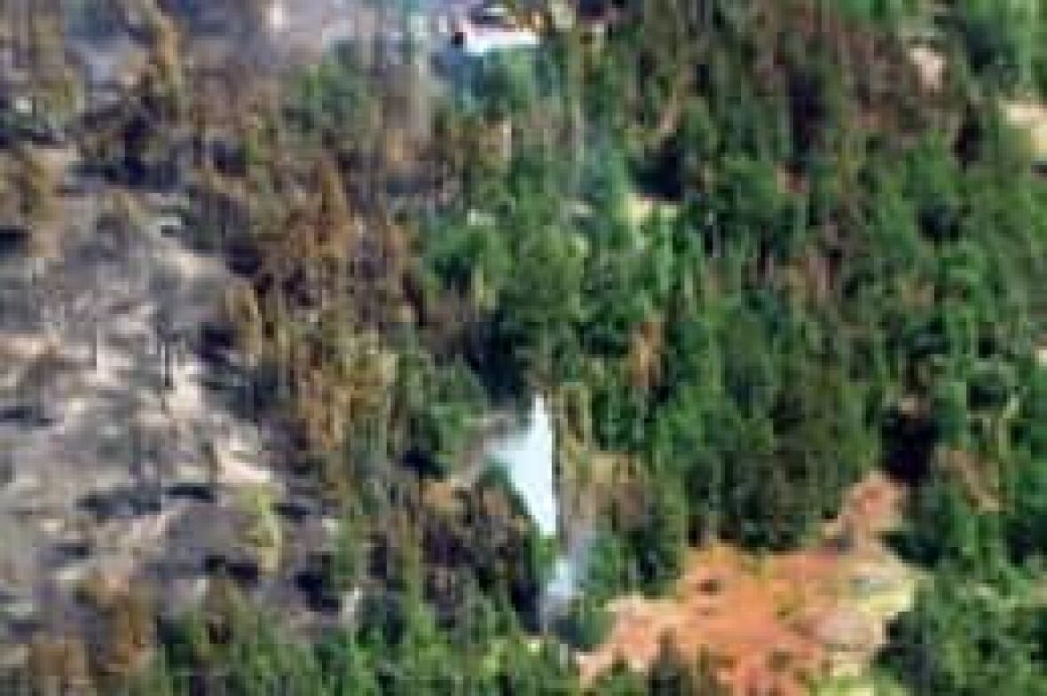 Lytton, B.C., forest fire contained at 130 hectares CBC News