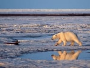 top-global-warming-cp-3545701