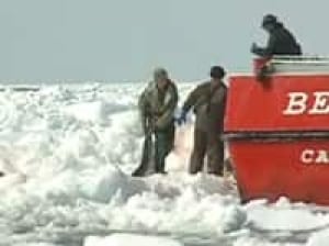 pe-sealhunters