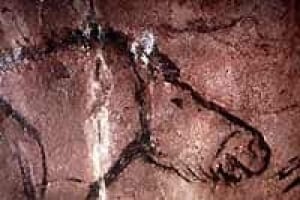 lascaux-getty-1738818