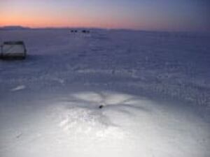 north-narwhal-hole081201