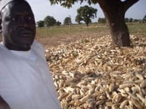 Mali-farmradio-366